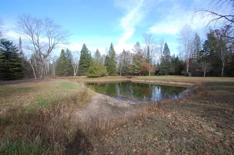 6263 Wildwood, Alger, MI 48610