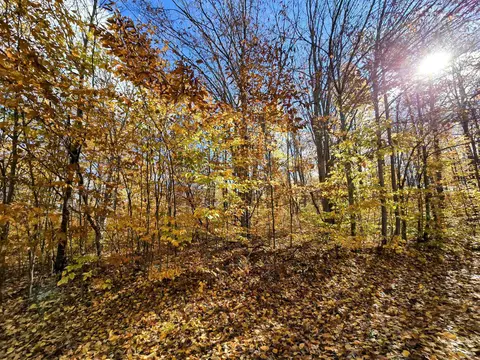 249 Wyndfield, Mancelona, MI 49659