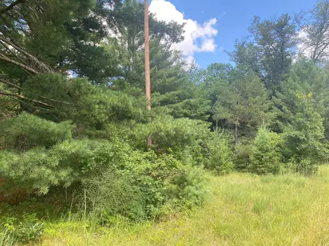 0 Mudcreek, Rock, MI 49880