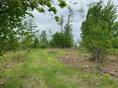 0 Mudcreek, Rock, MI 49880 photo 2