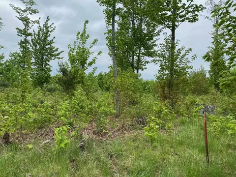0 Mudcreek, Rock, MI 49880 photo 3