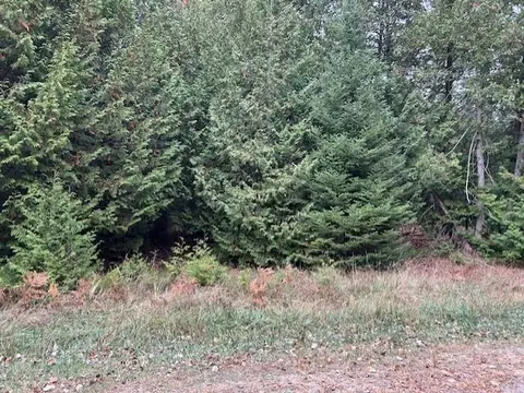 lot694 Huntington, Oscoda, MI 48750