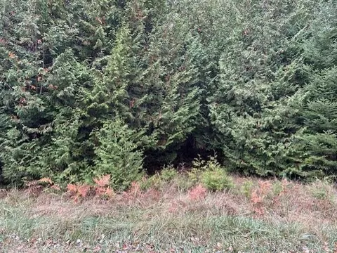 lot729 Christopher, Oscoda, MI 48750