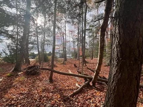 Parcel B North Shore, Northport, MI 49670