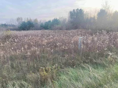 tbd E Wing, Shepherd, MI 48883