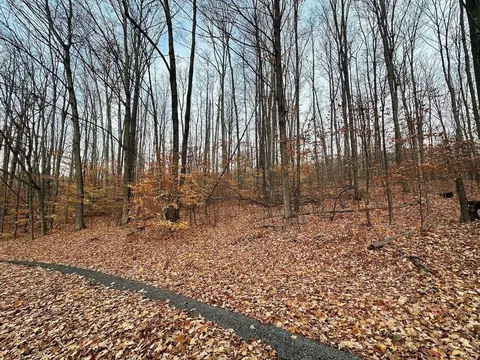 lot23 Schutzen #LOT : 23, Bellaire, MI 49615