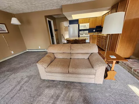 6598 Hanner, Grayling, MI 49738 photo 12