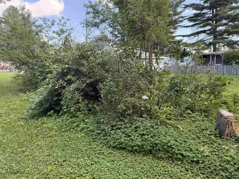 Exterior - 4465 Filter, Harrison, MI 48625 photo 7 of 8