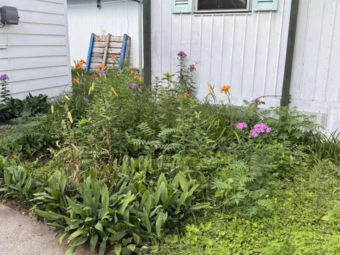 Exterior - 4465 Filter, Harrison, MI 48625 photo 4 of 8