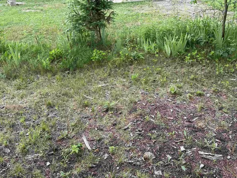 Exterior - 4465 Filter, Harrison, MI 48625 photo 8 of 8
