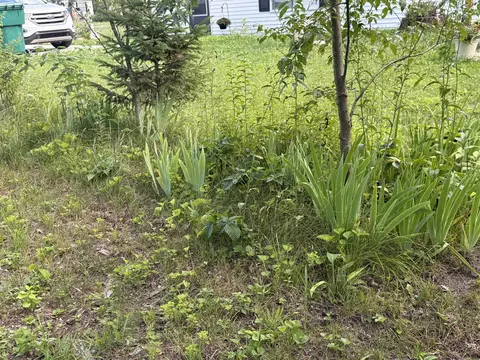 Exterior - 4465 Filter, Harrison, MI 48625 photo 6 of 8