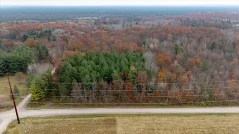 Slosser, Hale, MI 48739 photo 2