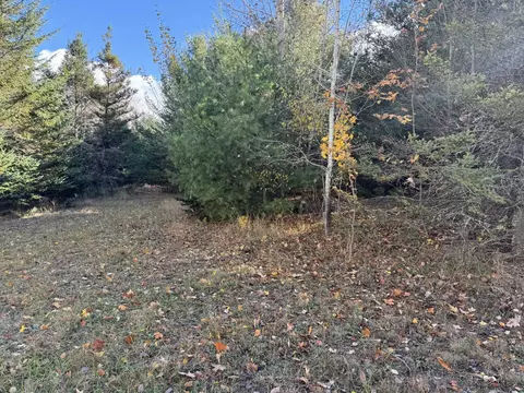 Vl Arnold, Manton, MI 49663 photo 3
