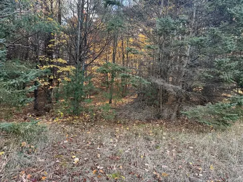 Vl Arnold, Manton, MI 49663 photo 5