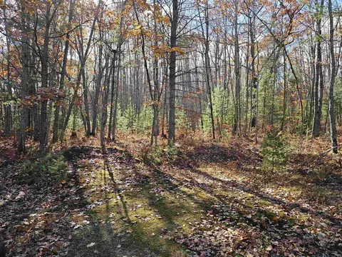 10372 Black Bear, Kalkaska, MI 49646