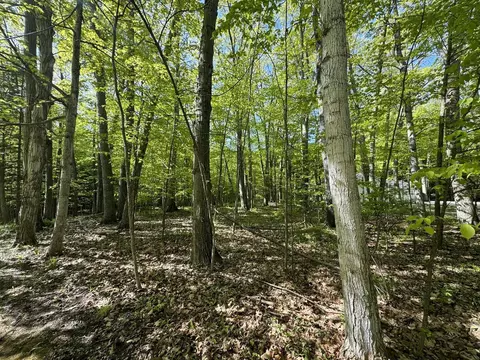 e oxford LOT : 27, Leland, MI 49654