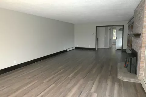 Living - 1567 Howard City Edmore, Edmore, MI 48829 photo 2 of 3