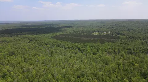 80 Acres Traverse, Thompsonville, MI 49683