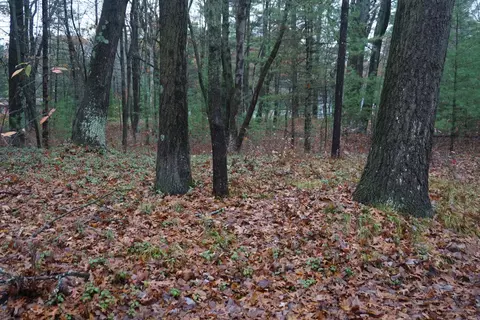Exterior - 1030 S First, Au Gres, MI 48703 photo 6 of 7