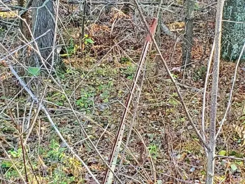 0 Hull, Omer, MI 48749 photo 8