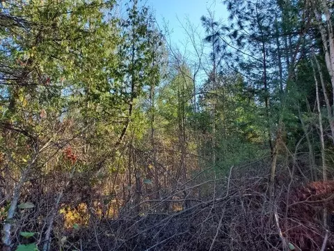 0 Hull, Omer, MI 48749 photo 5