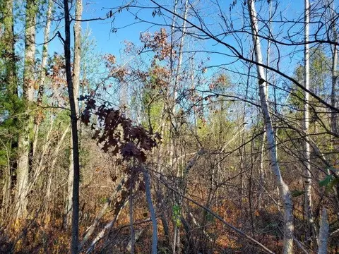 0 Hull, Omer, MI 48749 photo 3