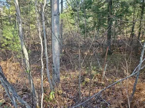 0 Hull, Omer, MI 48749 photo 9