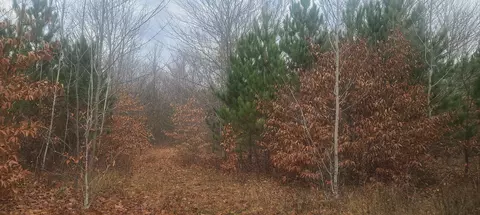 0000 Pontius, Kalkaska, MI 49646