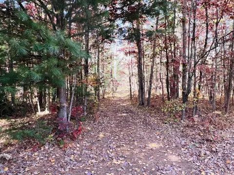 Other - 4934 W Olson, Shepherd, MI 48883 photo 13 of 14