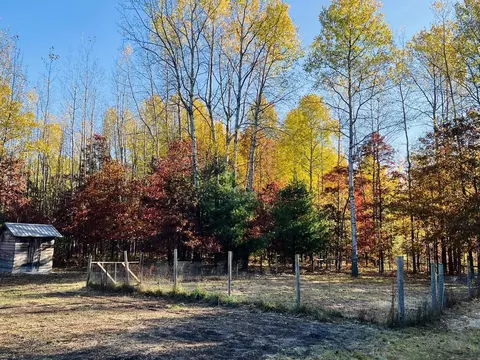 Exterior - 4934 W Olson, Shepherd, MI 48883 photo 13 of 13