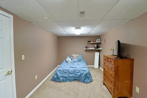 7565 S Wise, Shepherd, MI 48883 photo 22