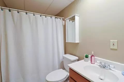 7565 S Wise, Shepherd, MI 48883 photo 21