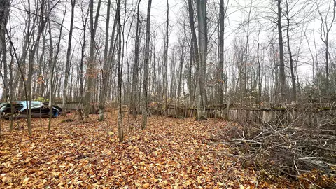 4215 Linden, Interlochen, MI 49643 photo 8