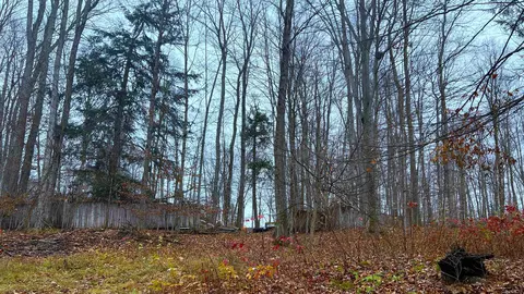 4215 Linden, Interlochen, MI 49643 photo 4