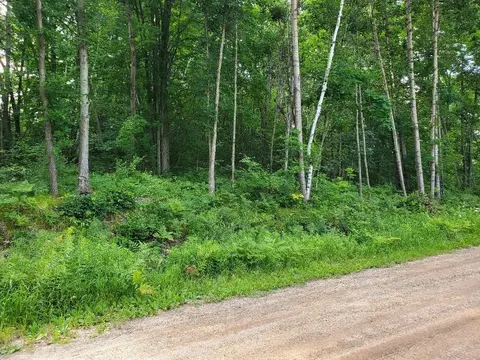 tbd N Coldwater, Weidman, MI 48858
