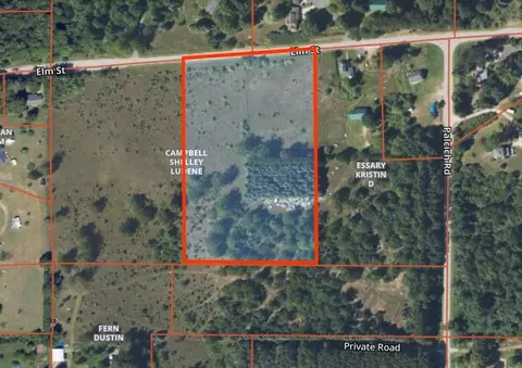 Elm, Frankfort, MI 49635