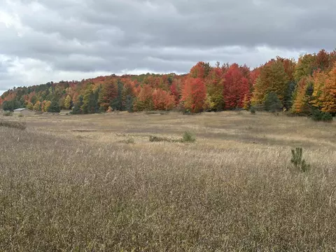 40 S Acres S Schomberg, Lake Leelanau, MI 49621