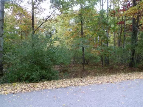 1013 1015 Granada #LOT 123 & 124, Lake Isabella, MI 48893