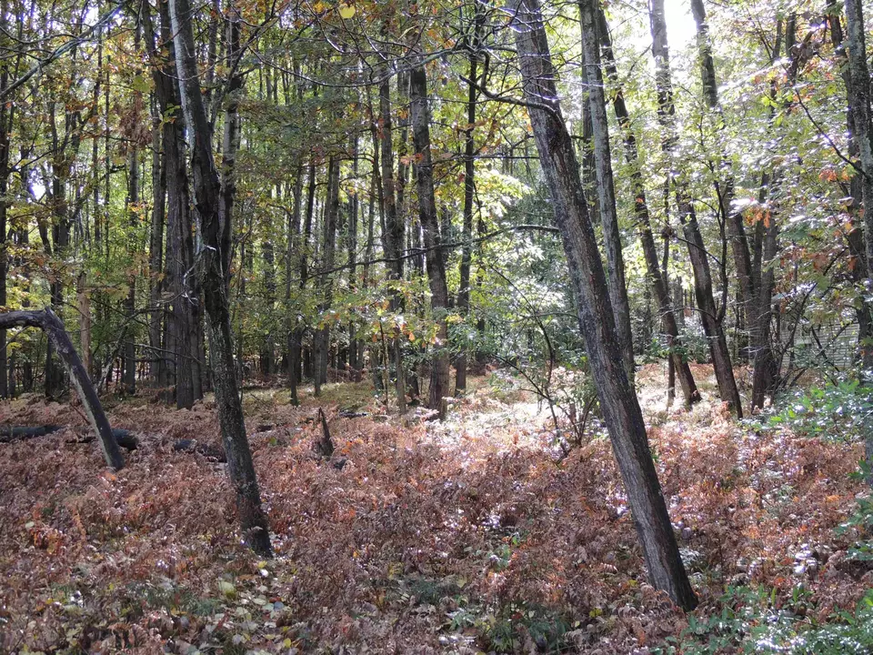  1014 Granada #LOT 96, Lake Isabella, MI 48893 photo 2