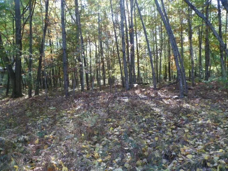  1014 Granada #LOT 96, Lake Isabella, MI 48893 photo 3