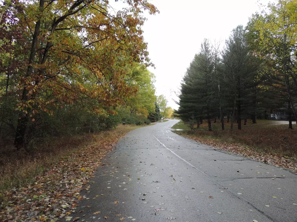  1014 Granada #LOT 96, Lake Isabella, MI 48893 photo 5