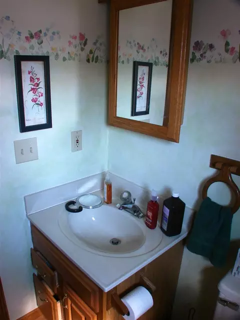 610 E Arcada, Ithaca, MI 48847 photo 11