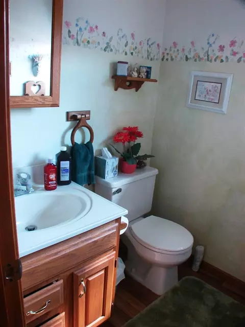 610 E Arcada, Ithaca, MI 48847 photo 10