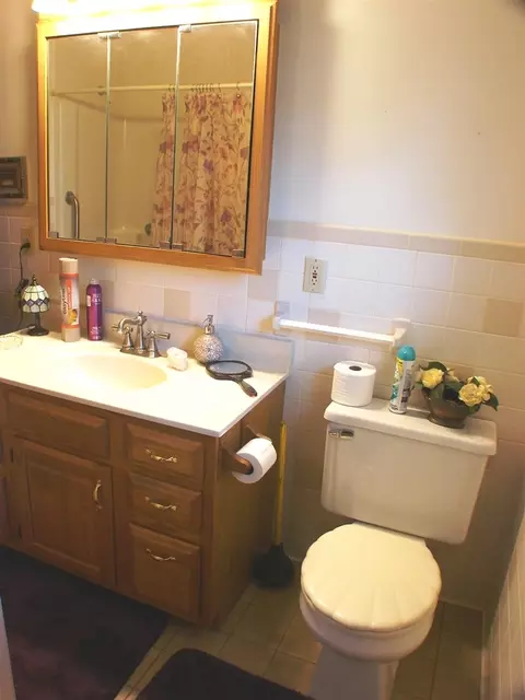 610 E Arcada, Ithaca, MI 48847 photo 18