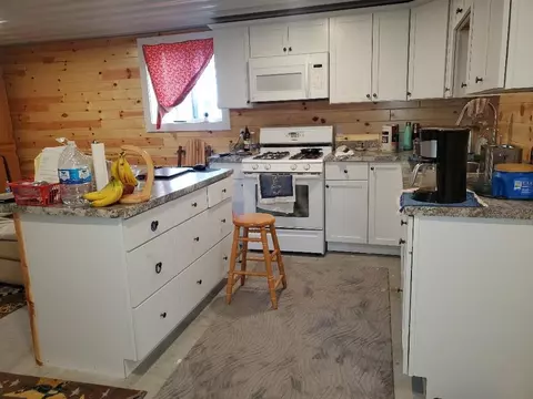 Kitchen - 113 E Clay, Ithaca, MI 48847 photo 3 of 3