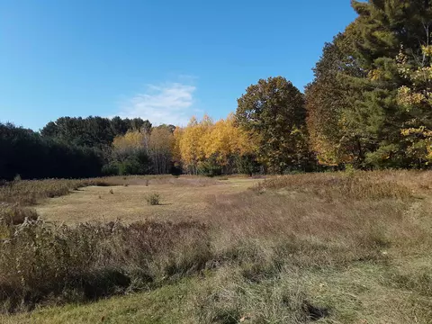 N Everett, Harrisville, MI 48740