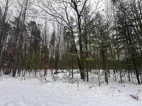 lot50 Bramblewood, Cadillac, MI 49601
