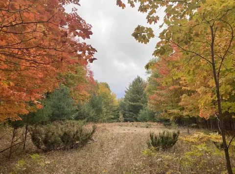 0 Dublin, Ellsworth, MI 49729
