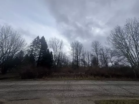 1100 Carmen #LOT : 23, Lake Isabella, MI 48893