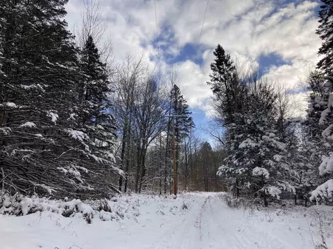 VL W Woodland #: 42, Cadillac, MI 49601